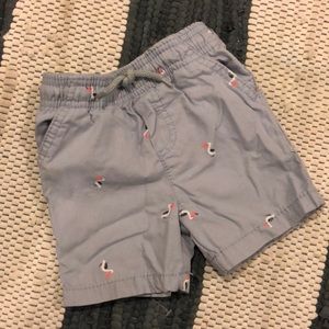 Oshkosh Boys Printed Pelican Shorts 9M